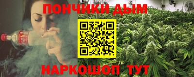 индика Тулун