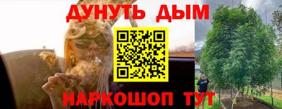 PSILOCYBIN Тула