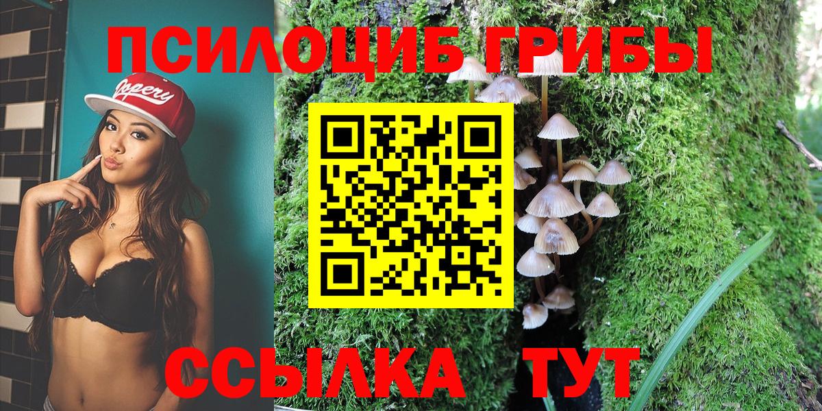 Ноябрьск  Галлюциногенные грибы Psilocybe  Вход с VPN  Галлюциногенные грибы Psilocybine cubensis 