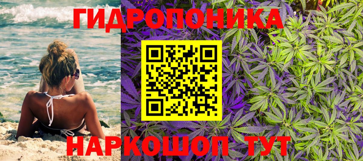 Конопля White Widow  Вход с VPN  Шишки марихуана план  Шишки марихуана план  Ноябрьск 